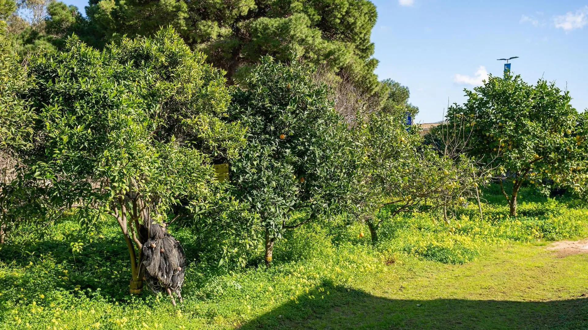 Villetta Ghisu Sant'Anna Arresi